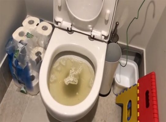 Bồn cầu bị trào ngược