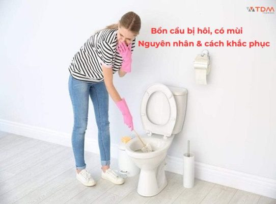 bồn cầu có mùi hôi