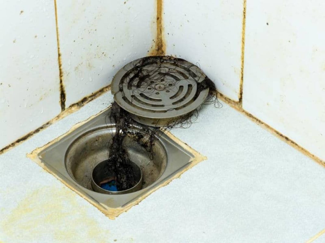 cống nghẹt Có mùi hôi